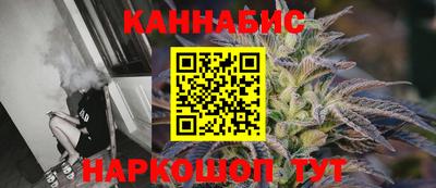 индика Пугачёв
