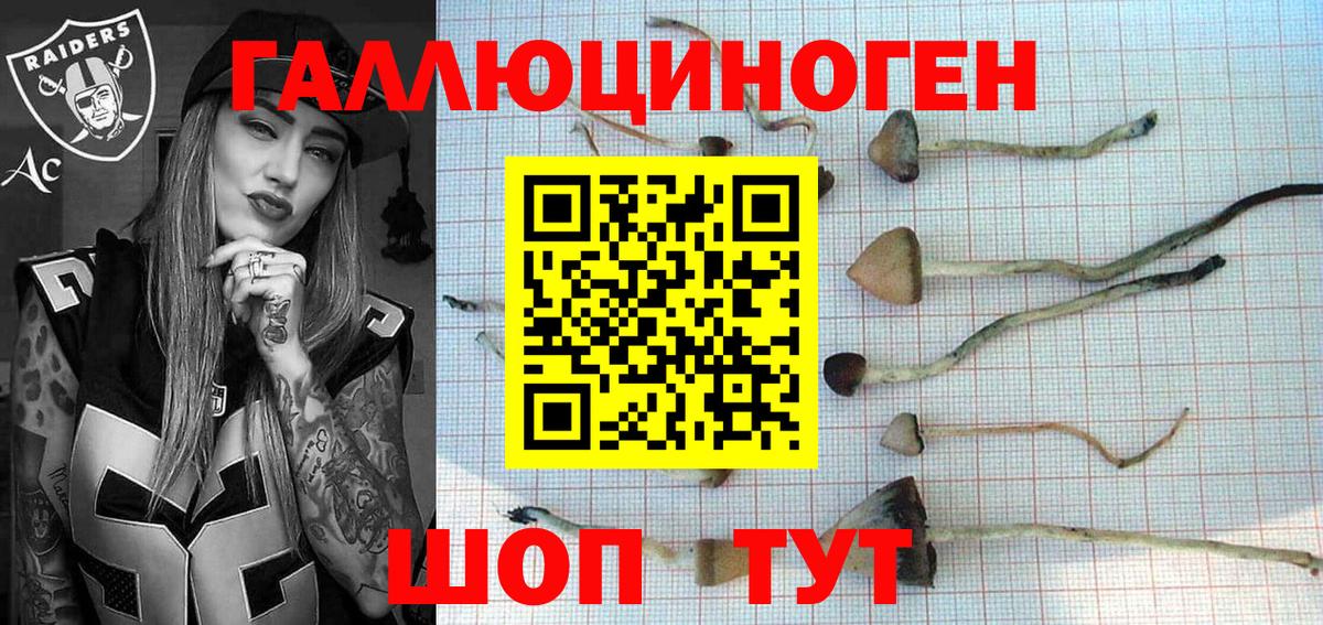 Псилоцибиновые грибы MAGIC MUSHROOMS Ростов Великий