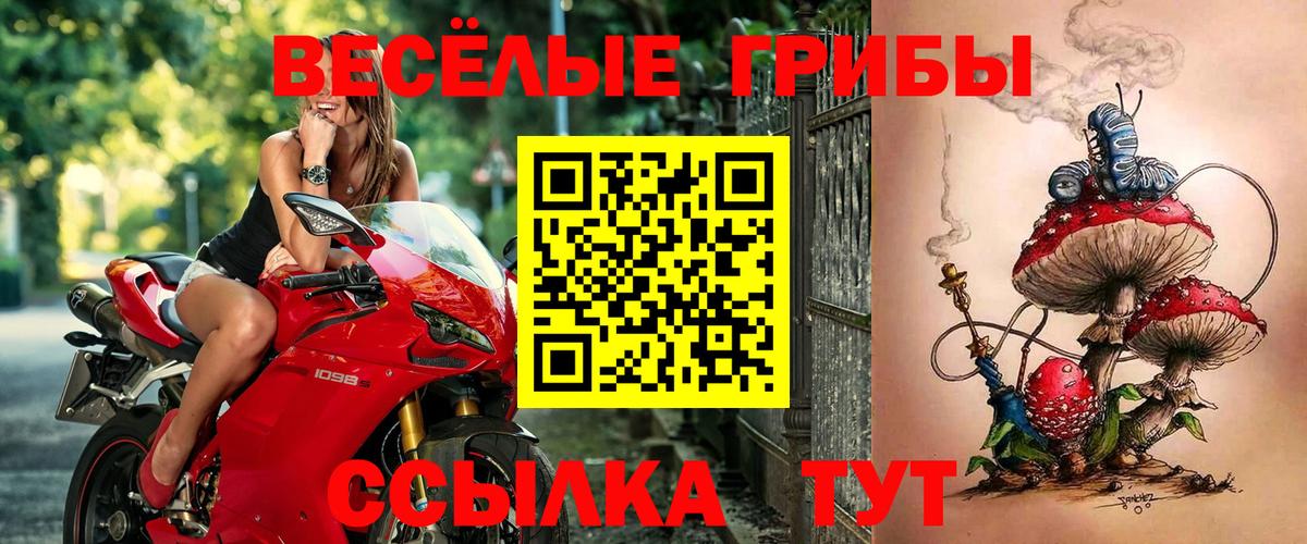 Ростов Великий  купить   Галлюциногенные грибы Psilocybe  Вход с VPN  Галлюциногенные грибы мухоморы 